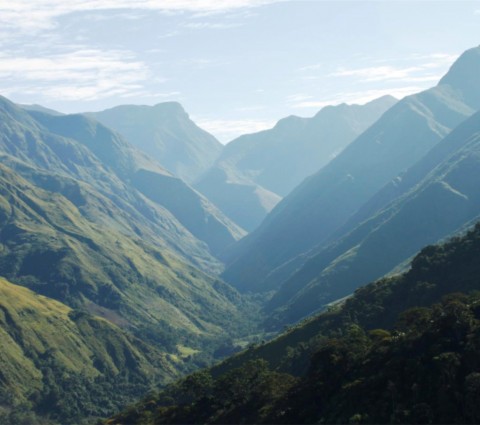 Sierra de Perija. Source icfcanada.org
