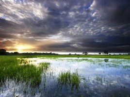 Sunset on the Orinoco river in the Amazon rainforest. Source: beauty-places.com